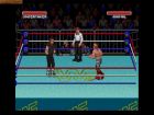Screen - WWF Super WrestleMania