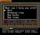 Screen gry Ys III: Wanderers from Ys: 