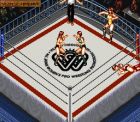 Super Fire Pro Wrestling: Queen's Special:  