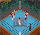Super Fire Pro Wrestling Special:  