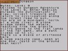 Dungeon Adventure: Gra Dungeon Adventure ( Level 9 Computing, Ltd. ) 