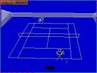 International 3D Tennis: Gra International 3D Tennis ( Sensible Software ) 
