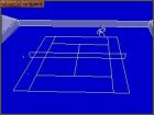 International 3D Tennis: Gra 'International 3D Tennis' 