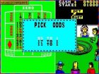 Screen gry Monte Carlo Casino:Obrazek z gry Monte Carlo Casino 
