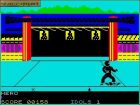 Ninja: Gra Ninja ( Sculptured Software, Inc. ) 