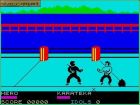 Ninja: Ninja - screen 