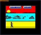 Oriental Hero: Gra 'Oriental Hero' 