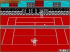 Pro Tennis Simulator: Pro Tennis Simulator - Codemasters Software... 