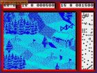 Professional Ski Simulator: Gra 'Professional Ski Simulator' 