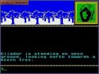 Runestone: Runestone - Firebird Software Ltd. 1985 