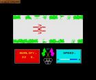 Screen gry Alpine Games: 