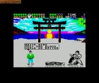 Screen gry International Karate +: 
