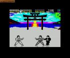 Screen gry International Karate +: 