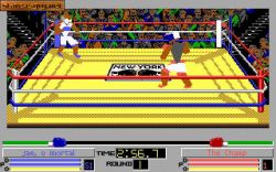 4D Sports Boxing: Zaczynamy boksowanie. 
