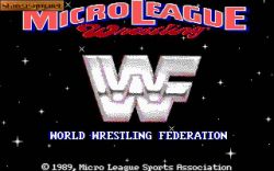 Obrazek z gry Micro League Wrestling 2