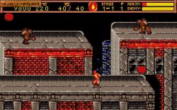 Ninja Gaiden 2: Dark Sword of Chaos:  