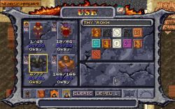 Obrazek z gry Dark Sun 2: Wake of the Ravager