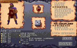 Obrazek z gry Dark Sun 2: Wake of the Ravager