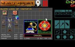 Screen gry Dungeon Master: 