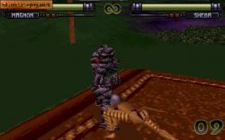 Screen gry FX Fighter: 