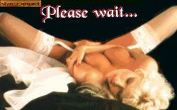 Obrazek z gry Penthouse Hot Numbers