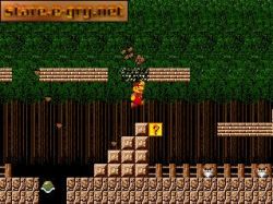 Super Mario XP:  