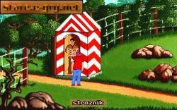 Obrazek z gry Teenagent