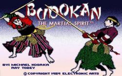 Screen gry Budokan: The Martial Spirit: 
