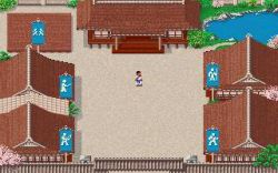 Screen gry Budokan: The Martial Spirit: 