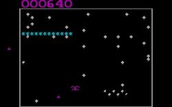 Centipede:  