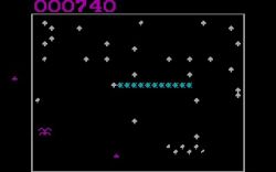Centipede:  