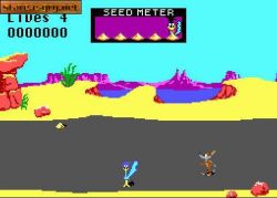 Road Runner: Nasi bohaterowie, wilk ze sztuczcami i jego obiad... 