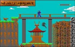 Shadow Knights:  