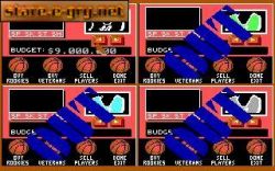 The Basket Manager:  