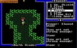 Ultima V: Warriors Of Destiny:  
