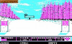 Winter Games: Tak wygląda strzelanie. 