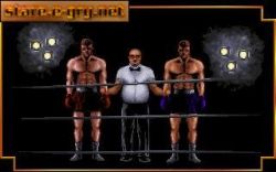 3D World Boxing:  