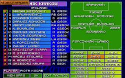 Obrazek z gry Sensible World Of Soccer