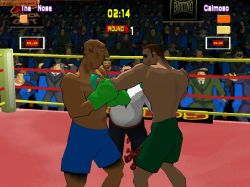 Obrazek z gry Live! Boxing