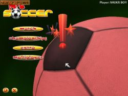 Obrazek z gry Pet Soccer