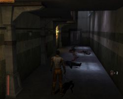 Screen - The Suffering