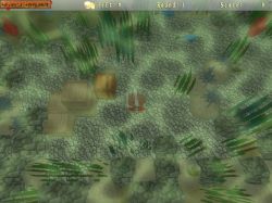 Tuber:  