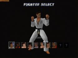 Screen gry World of Fighting: 