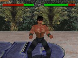 Screen gry World of Fighting: 