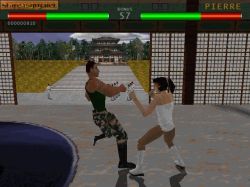 Screen gry World of Fighting: 