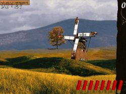 Screen - Crazy Chicken: The Original