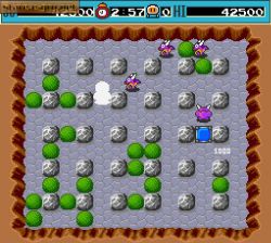 Dyna Blaster:  