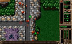 Obrazek z gry Tyrian