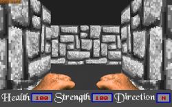 Obrazek z gry Master Won Liu 3-D