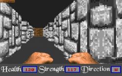 Obrazek z gry Master Won Liu 3-D